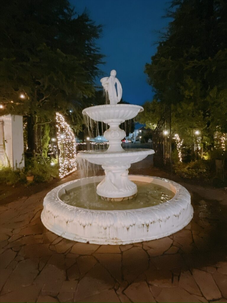 ライトアップされた庭園の噴水