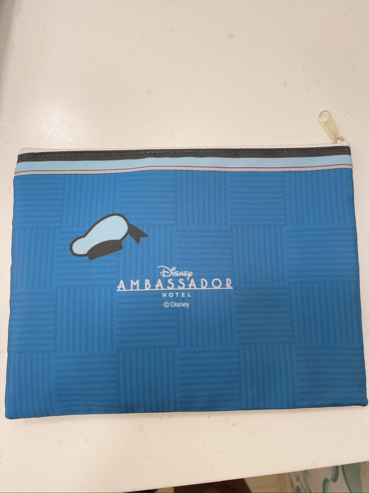 ポーチのもう一方の面。白い線でドナルドの帽子が描かれ、その下に「Disney AMBASSADOR HOTEL」の文字が入っている